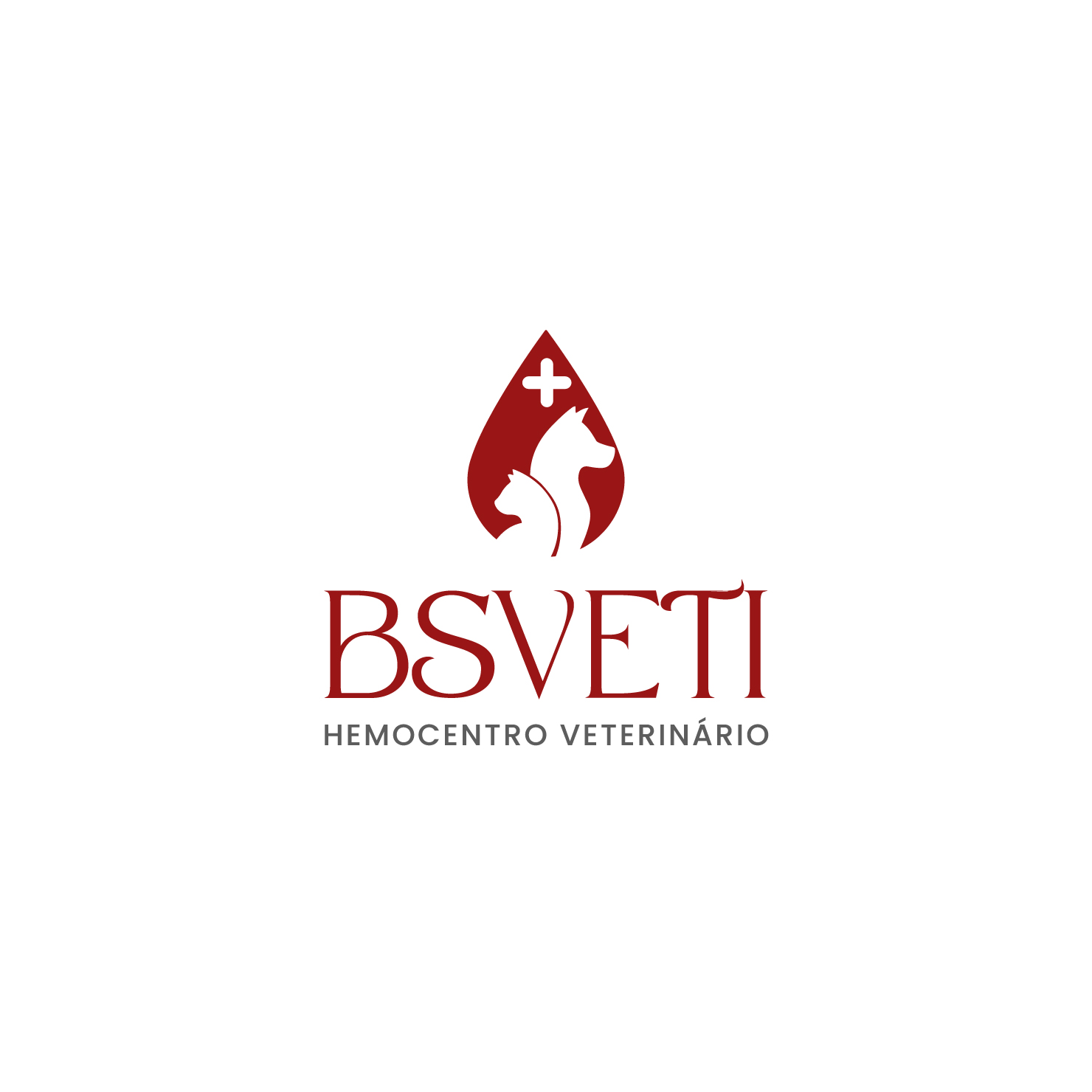 BSVETI